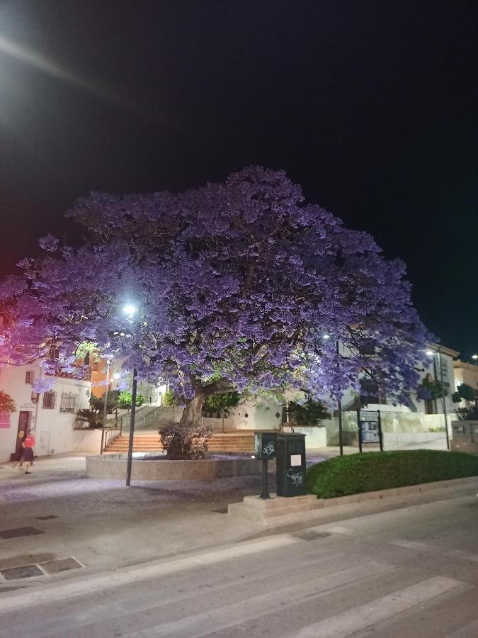 Sweet Home Benalmadena, Estudio Con Vistas Al Mar Y Excelente Conexion Wifi, Para No Fumadores, Con Piscinas, Sea Views, With Swimming Pools, Completely Renovated, Ideal For Older People, Bright With Morning Sun, No Smoking Ngoại thất bức ảnh