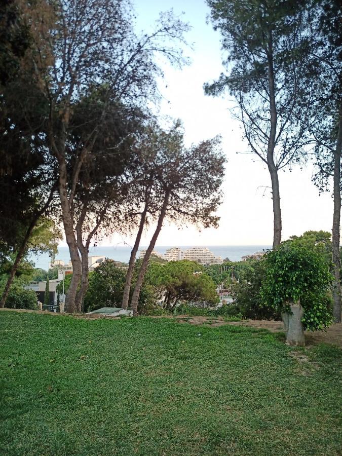 Sweet Home Benalmadena, Estudio Con Vistas Al Mar Y Excelente Conexion Wifi, Para No Fumadores, Con Piscinas, Sea Views, With Swimming Pools, Completely Renovated, Ideal For Older People, Bright With Morning Sun, No Smoking Ngoại thất bức ảnh