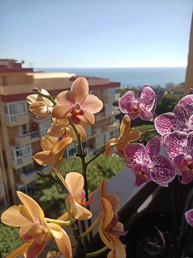 Sweet Home Benalmadena, Estudio Con Vistas Al Mar Y Excelente Conexion Wifi, Para No Fumadores, Con Piscinas, Sea Views, With Swimming Pools, Completely Renovated, Ideal For Older People, Bright With Morning Sun, No Smoking Ngoại thất bức ảnh